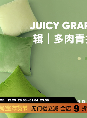 LIVING inc.天鹅绒多肉青提 清新绿色抱枕沙发客厅靠垫床头靠枕套