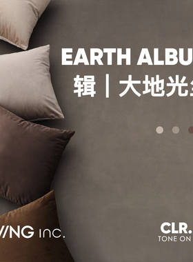 LIVING inc.大地天鹅绒 棕色ins抱枕沙发客厅轻奢靠垫床上靠枕套