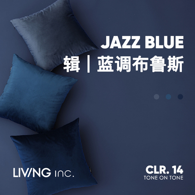 LIVINGinc.抱枕PP棉蓝色系