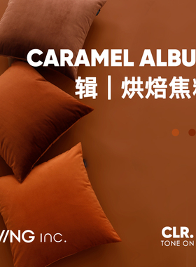 LIVING inc.焦糖色 天鹅绒抱枕复古客厅沙发靠垫办公室腰靠枕床上