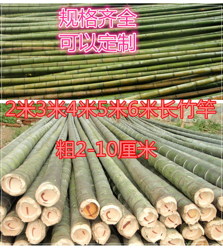 竹竿子4米竹杆粗大竹竿毛竹3米竹竿晾衣杆子工地用搭架毛竹杆竹子
