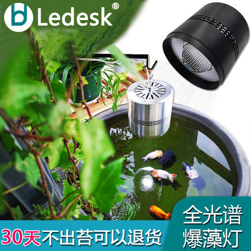 乐迪光谱led爆藻金鱼缸兰寿出