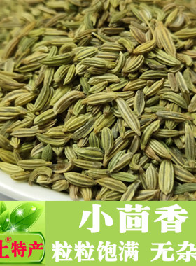 喜土小茴香甘肃香料调料