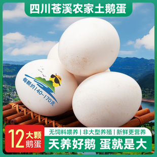 苍溪鹅蛋农家散养新鲜特大个孕妇儿童天然四川正宗农村本地土鹅蛋
