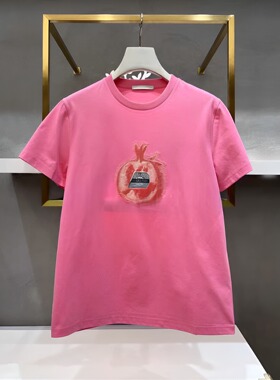 正品2H2B311-23 D大23夏6 999 粉红色 浅蓝 浅黄 T恤-P4