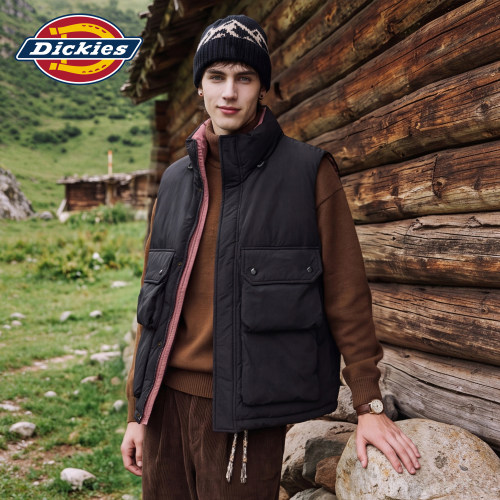 Dickies冬季美式工装立领羽绒服