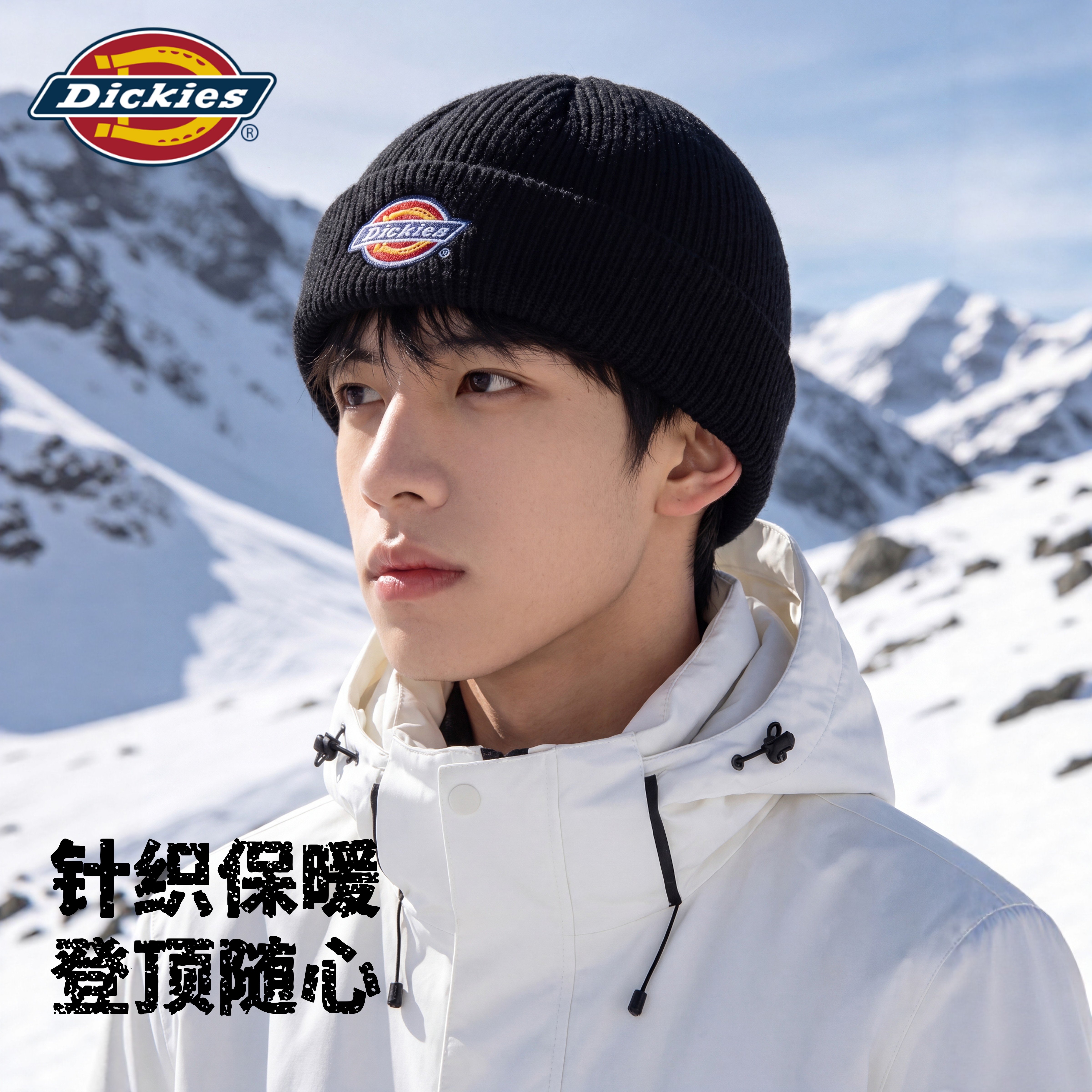 Dickies帽子男款2026新款爆款秋针织帽冷帽瓜皮保暖潮牌男女同款N