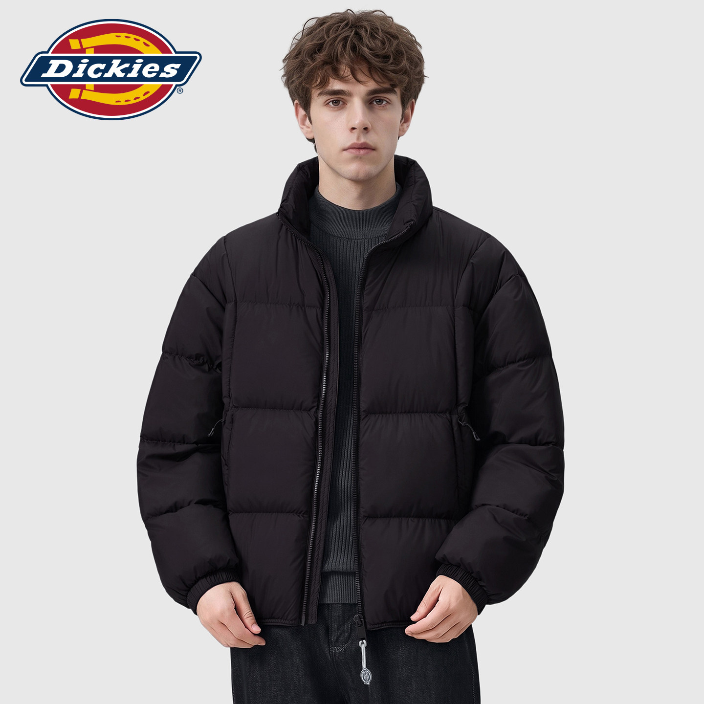 Dickies帝酷适2026年秋冬季外套新款立领保暖加厚男士插袋羽绒服Y