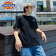 Dickies帝酷适25春夏新款 前胸小LOGO背后日出图案印花宽松短袖 T恤