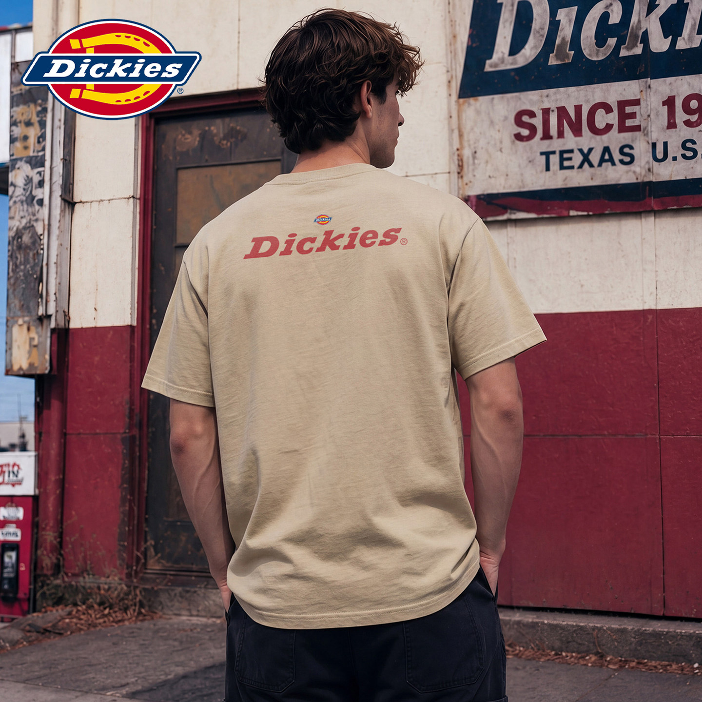 Dickies帝酷适夏季薄款经典印花短袖T恤男士宽松休闲感新款上衣Y