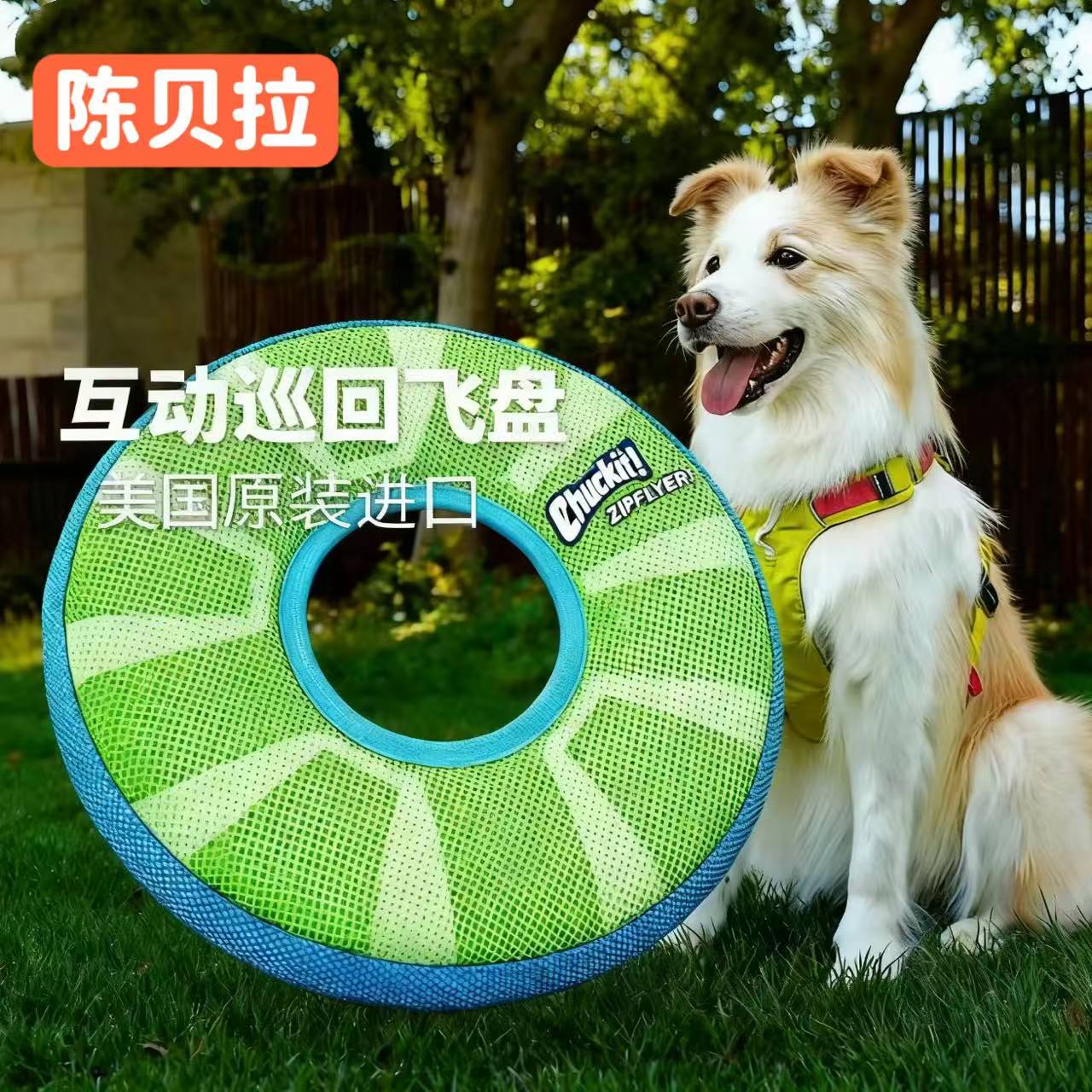 Chuckit飞盘夜光玩具耐咬