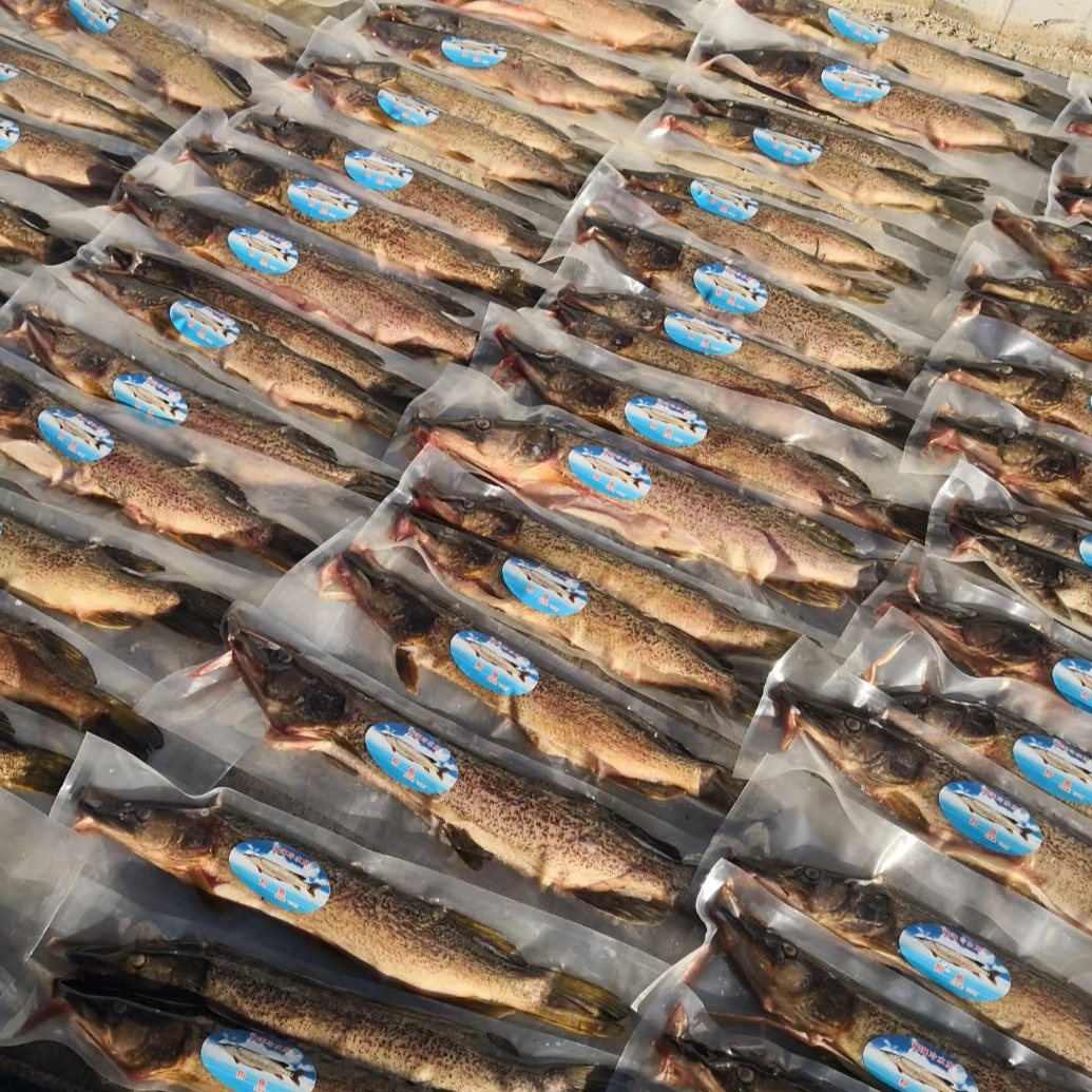 自然繁殖冷水鱼，欢迎选购。