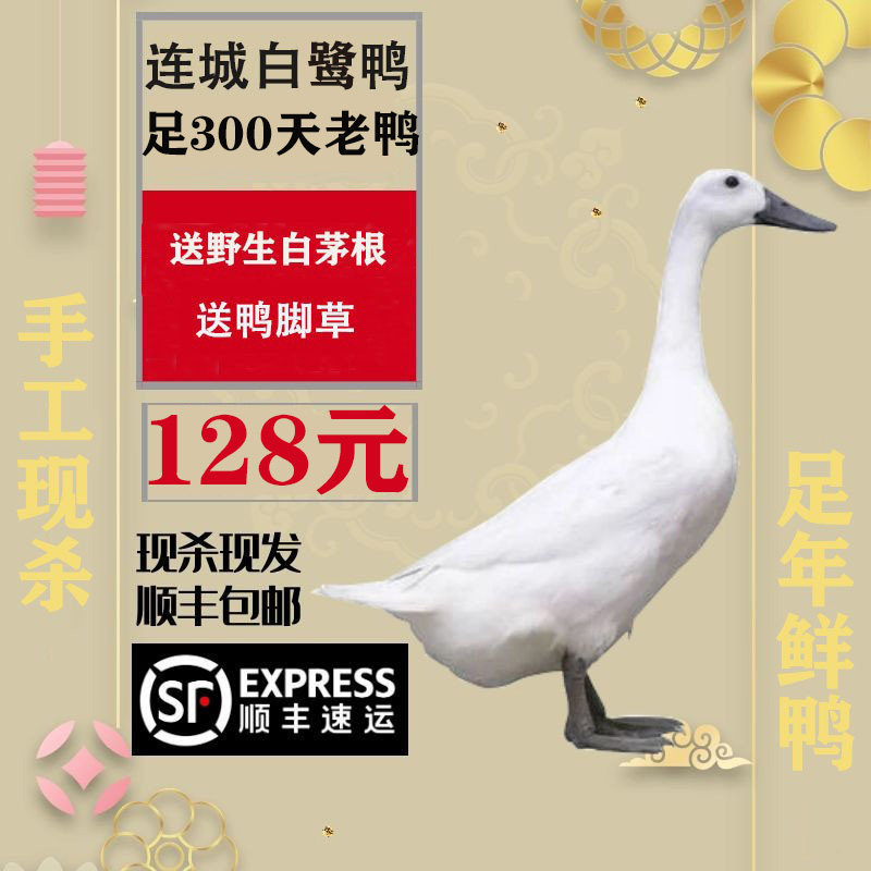 正宗连城白鹭鸭足1年散养新鲜活体现杀连城白鸭福建黑嘴鸭顺丰
