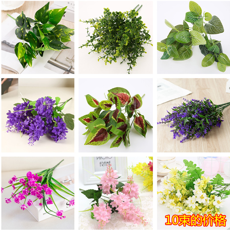 门头插花绿萝波斯叶薰衣草植物墙