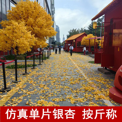 按斤称仿真银杏叶片秋天黄色