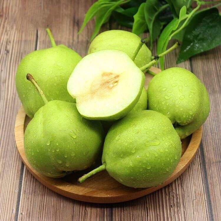 甘肃民乐新鲜早酥梨孕妇水果梨子青皮梨3/5/10斤水果非皇冠苹果梨