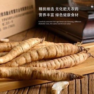 甘肃山丹特产高原特级野生干货黄参农家党参小人参黄葑野胡萝卜