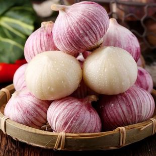 甘肃民乐2025现挖新鲜高蒜素紫皮蒜独头大蒜黑蒜糖蒜腊八蒜独头蒜