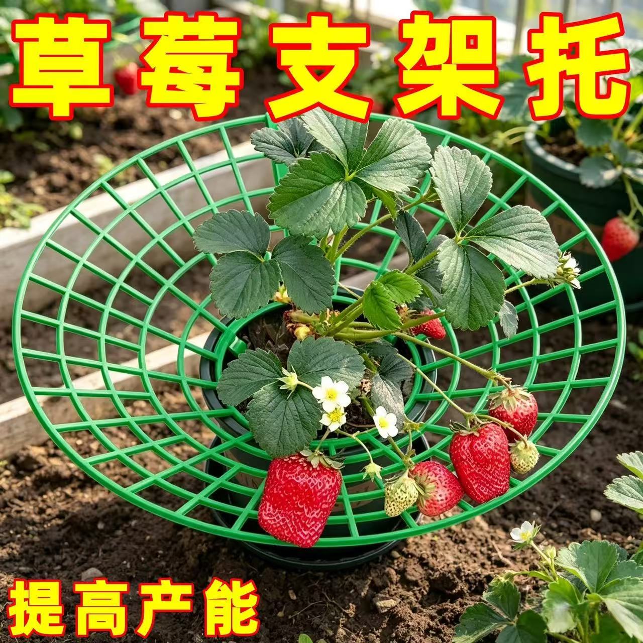 草莓立体栽培架种植托架圆形支架图片