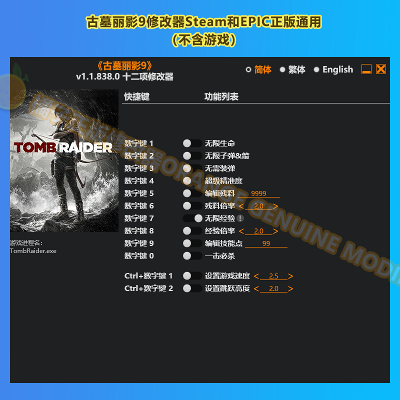 古墓丽影9正版 steam epic专用修改器辅助科技工具不含游戏-封面