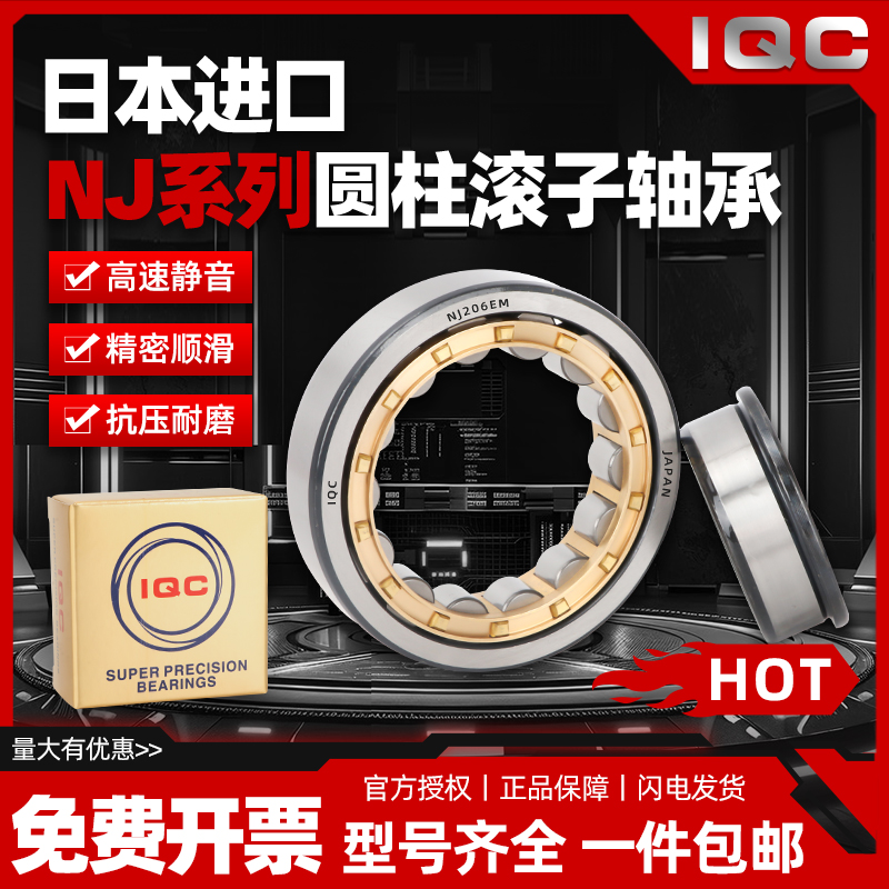 日本进口IQC圆柱滚子轴承NJ 2203 2204 2205 2206 2207 2208 EM