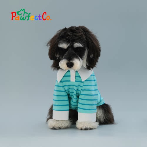 Pawfect Co完美爪爪夏季狗狗背心孔雀蓝条纹小型犬雪纳瑞腊肠