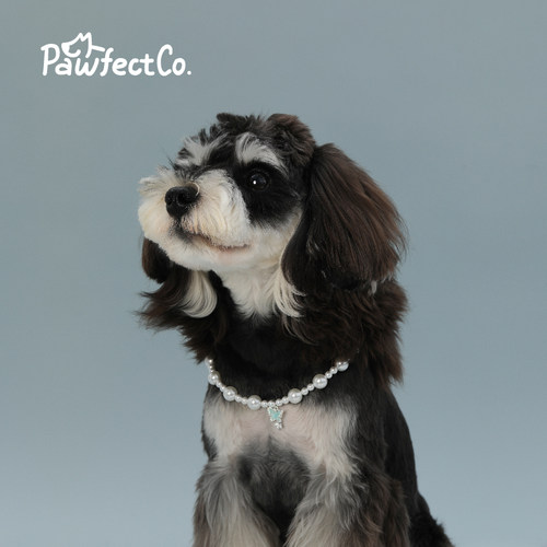 PawfectCo完美爪爪宠物珍珠项链