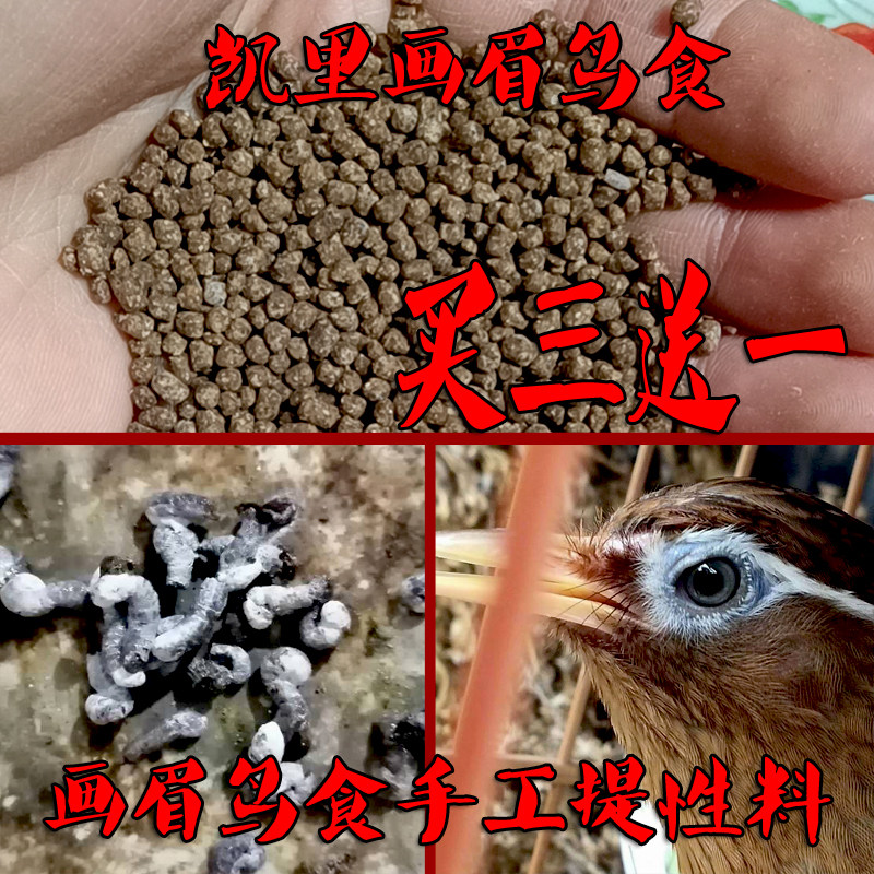 画眉鸟食饲料提性斗鸟唱鸟料壮胆肥膘凯里散装专用营养壮膘料500g