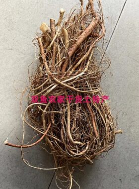 五指毛桃纯根带杆价更低