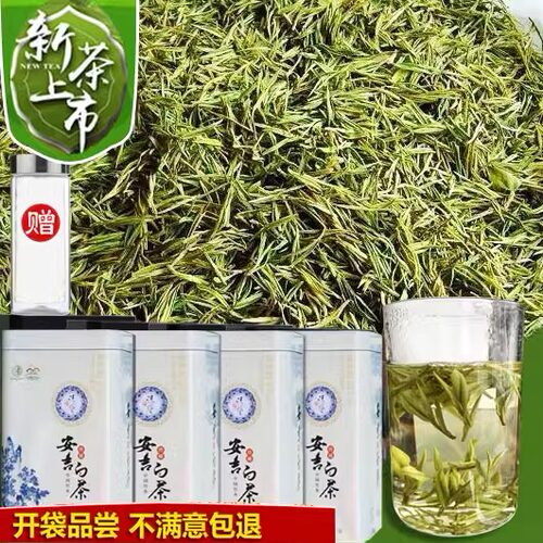 现货2026新茶叶安吉白茶500克明后春茶散装原产地正宗绿茶罐装 - 封面