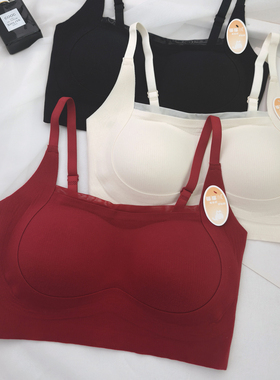 猫猫绒磨毛保暖亲肤舒适内衣女固定杯提拉聚拢无钢圈文胸古妃3739