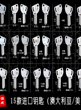 N169 【集合】11款进口钥匙胚 适用国外锁芯 异型开齿钥匙