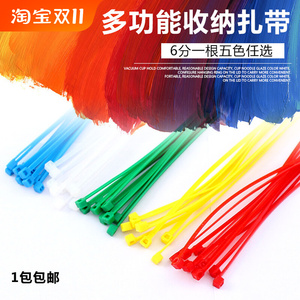 塑料自锁式尼龙扎带封条 塑料扣束带线带批.发捆线电线