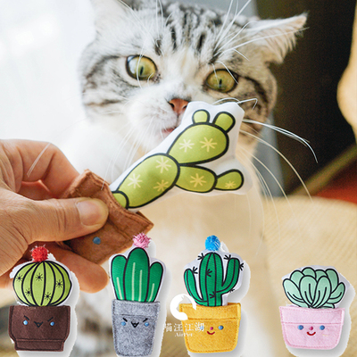 清新ins风 FOFOS仙人掌猫薄荷包 毛毡猫玩具 耐咬耐啃