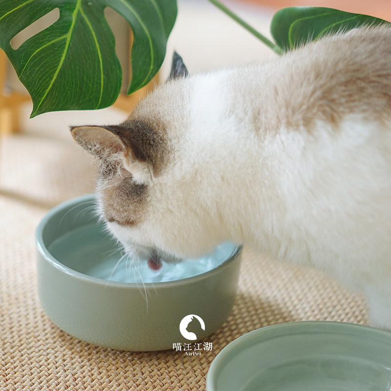 petio健康富硒多喝水碗 富含火山矿物质 日本原装进口猫碗食盆