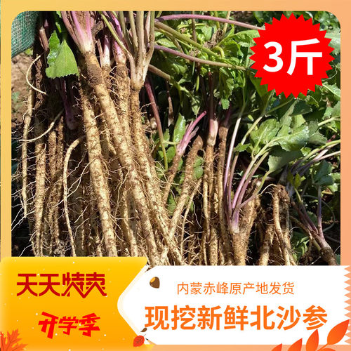 包邮新鲜北沙参1500克中药材现挖北沙参原产地发货只卖40天
