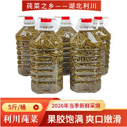 利川莼菜马蹄菜湖菜新鲜采摘产地发货农家采摘果胶饱满5斤实惠装