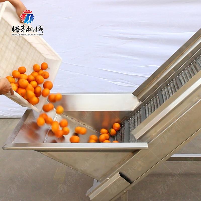 FAV苹果豆梨橙子茄土蕃薯流芋头加工线 根茎类瓜果去皮清洗水线