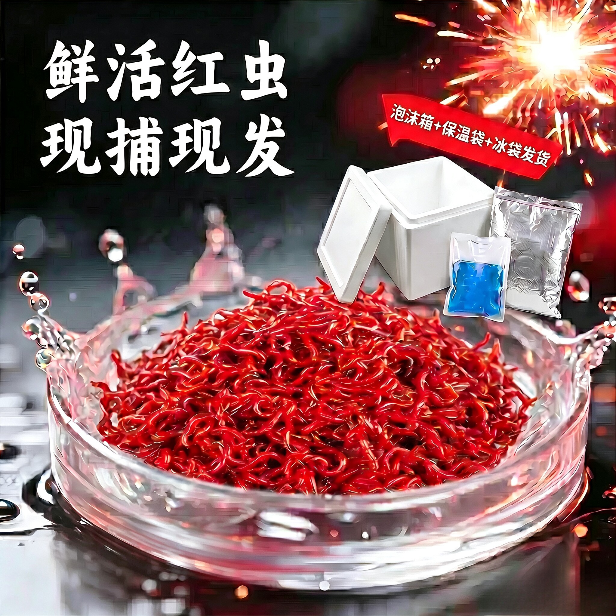 十二年老店真特大号红虫