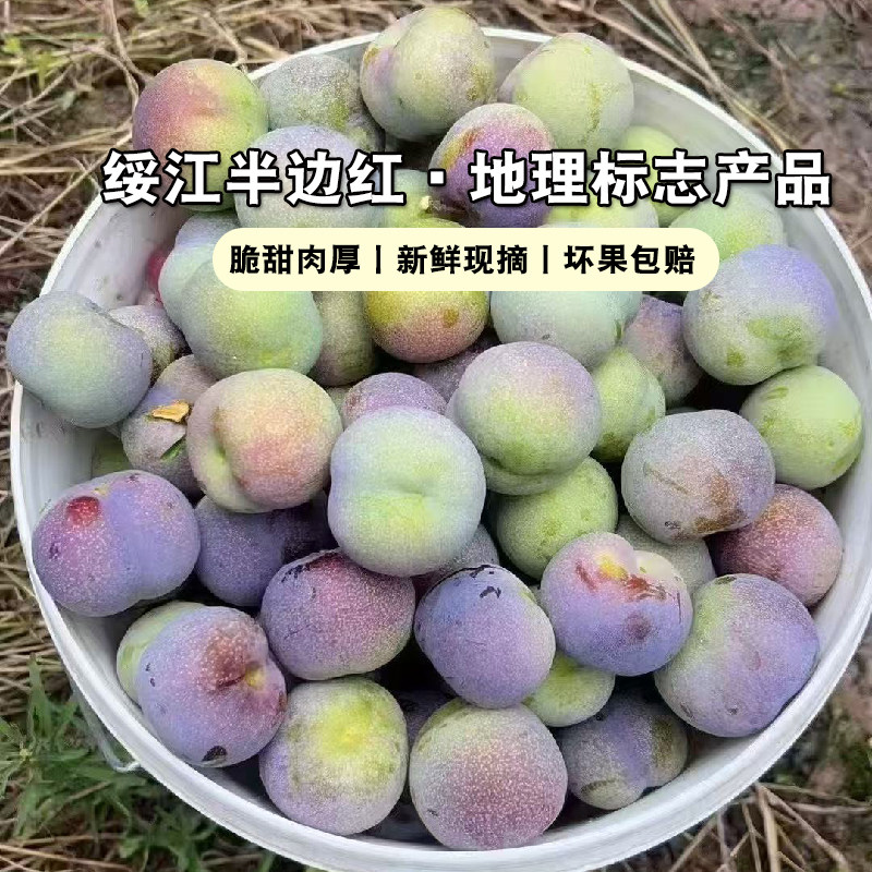 昭通绥江半边红李子5斤大果脆甜肉厚核小当季新鲜水果现摘现发 - 实物图