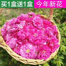 致富经头期玫瑰花冠茶玫瑰花茶平阴特产无硫花草茶玫瑰花冠王
