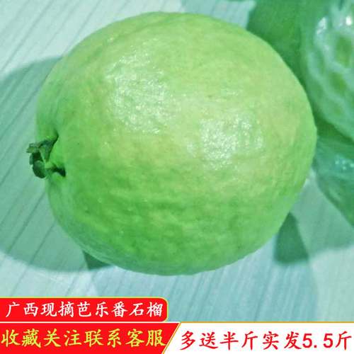 广西番石榴新鲜清甜脆口软糯香甜