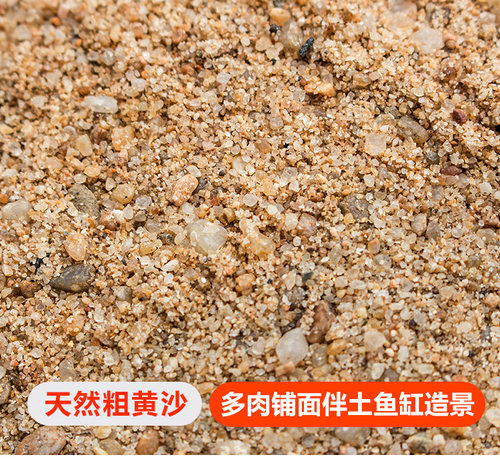 天然粗河沙子颗粒多肉配土铺面石头鱼缸底水族造景乌龟冬眠黄沙土 - 封面
