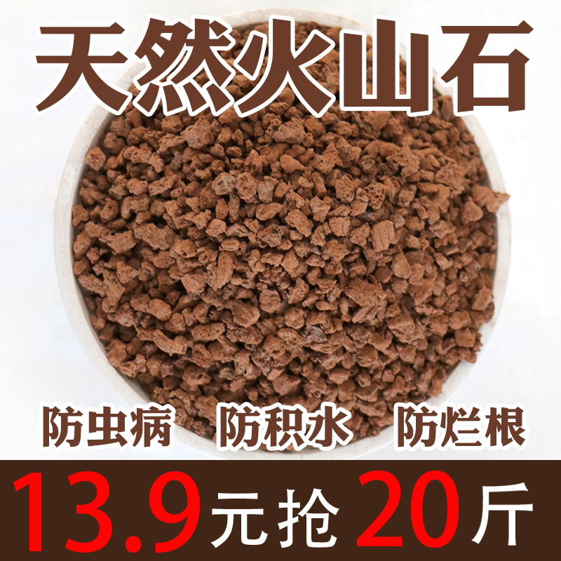 火山岩多肉专用伴土铺面兰花颗粒营养土鱼缸垫底包邮500g