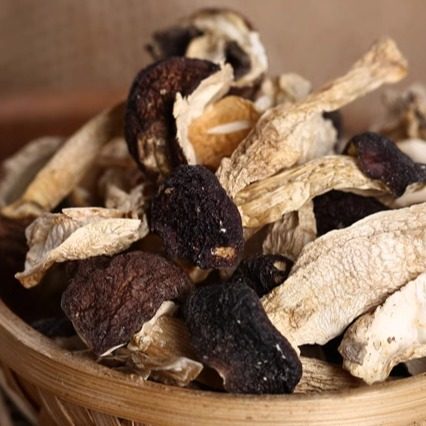 秦岭赤松茸干片100克