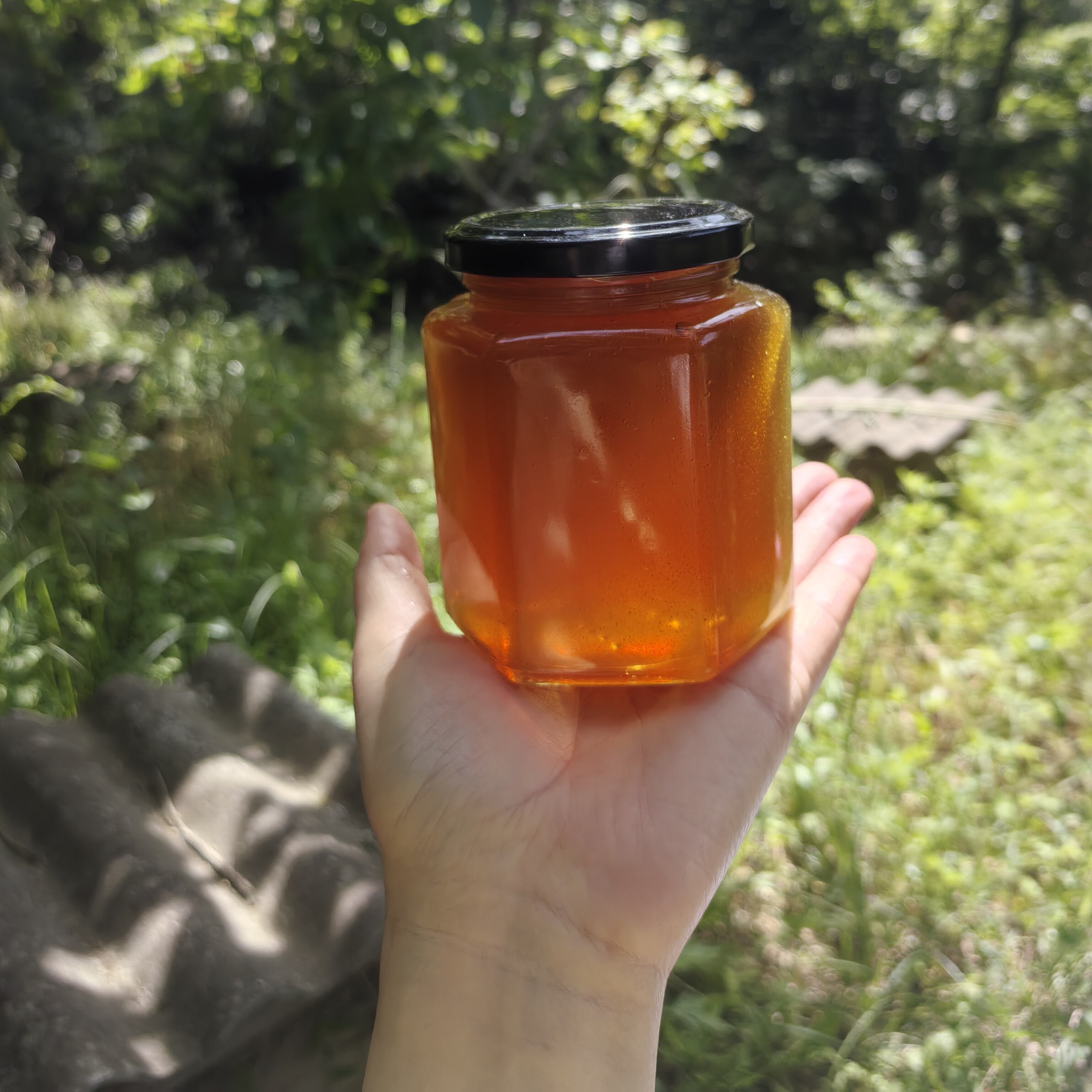 甘肃徽县蜂蜜纯正天然野生百花蜜农家自产自销500克