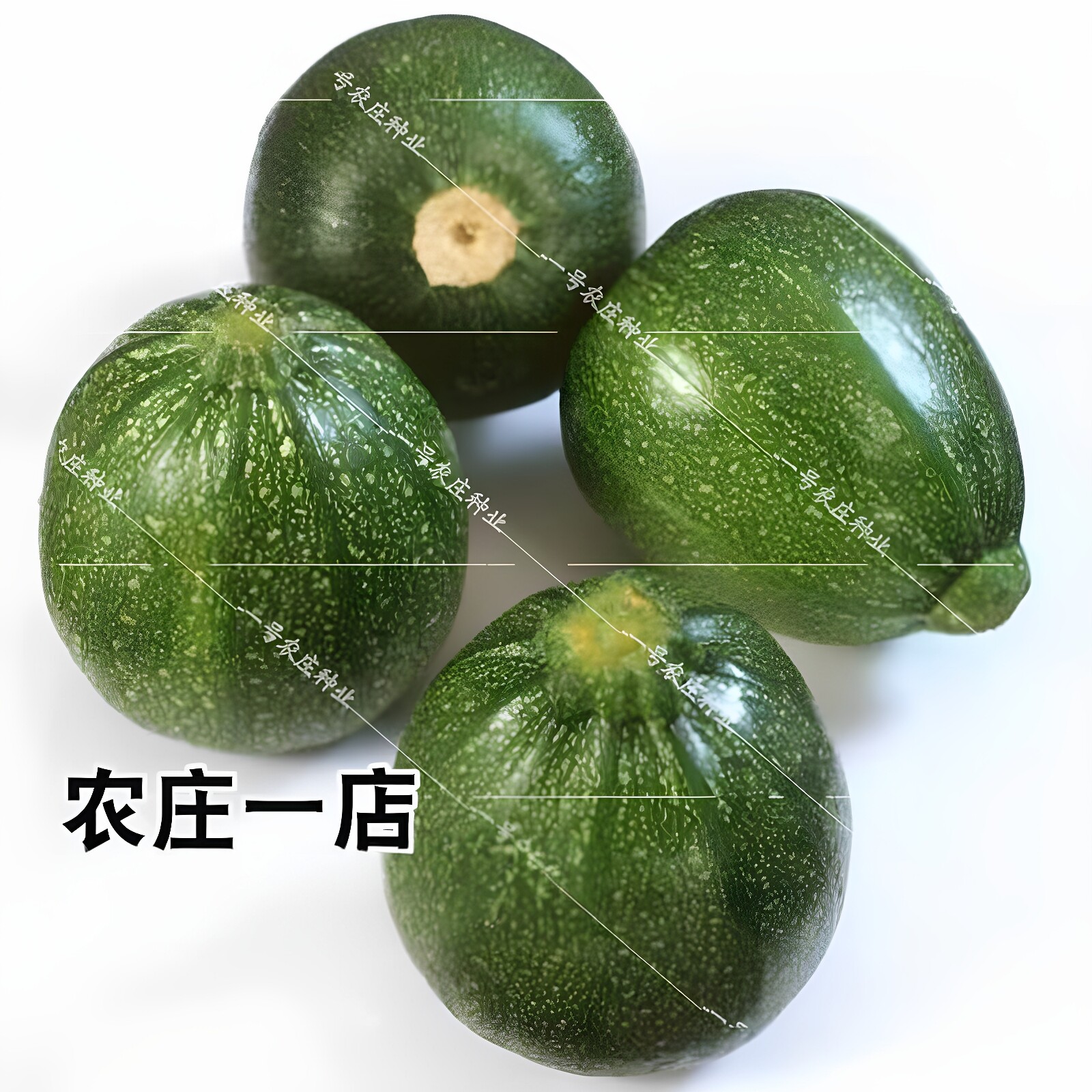 无蔓早熟小青瓜种子南瓜种籽短藤农户大田高产四季春夏季蔬菜种孑