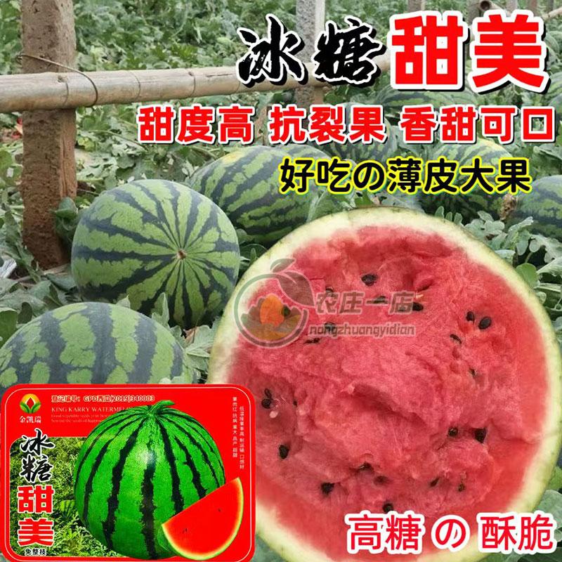 冰糖西瓜种子耐重茬大西瓜种籽孑