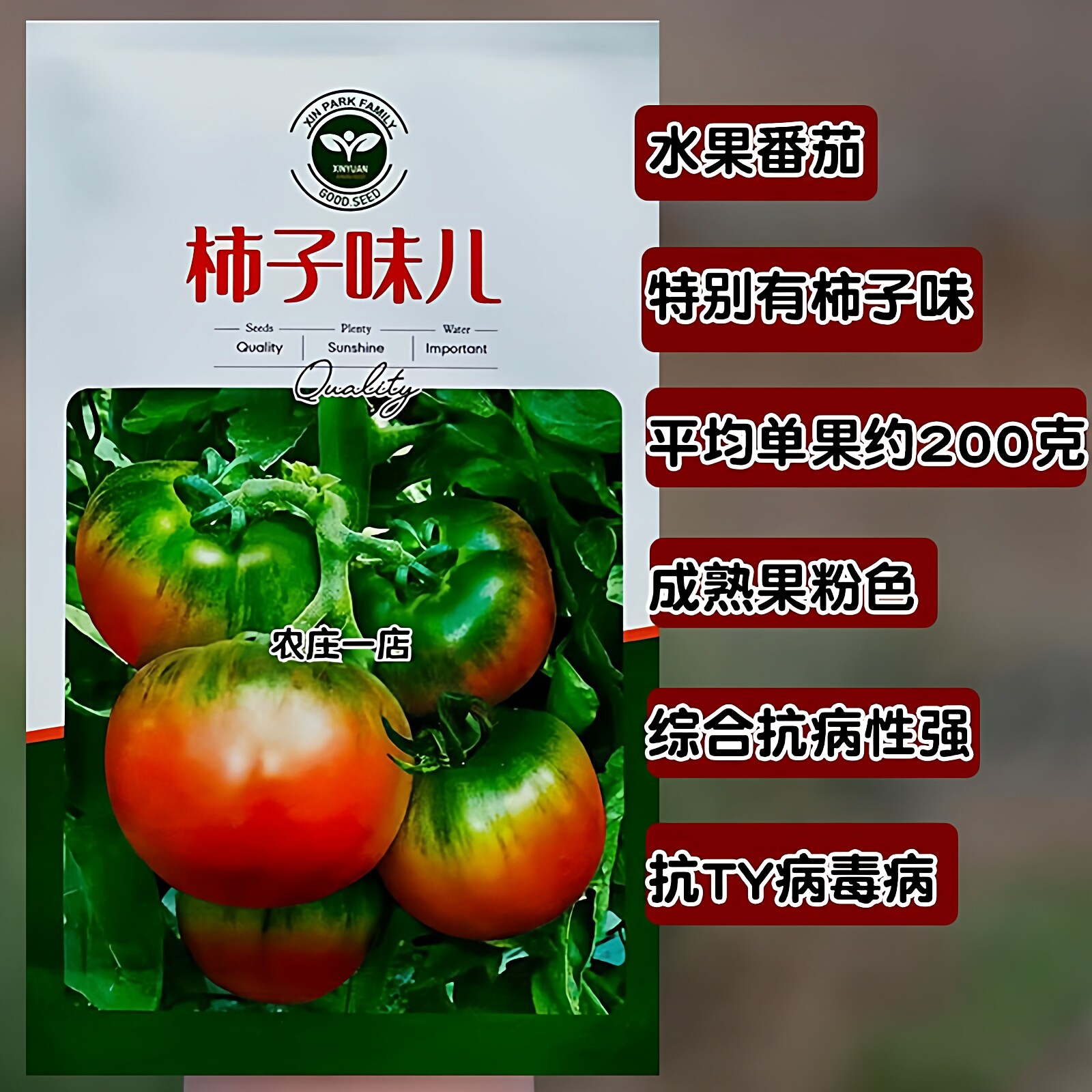 柿子味儿水果番茄种子超甜草莓柿子种籽孑酸甜多汁抗TY病毒病高产