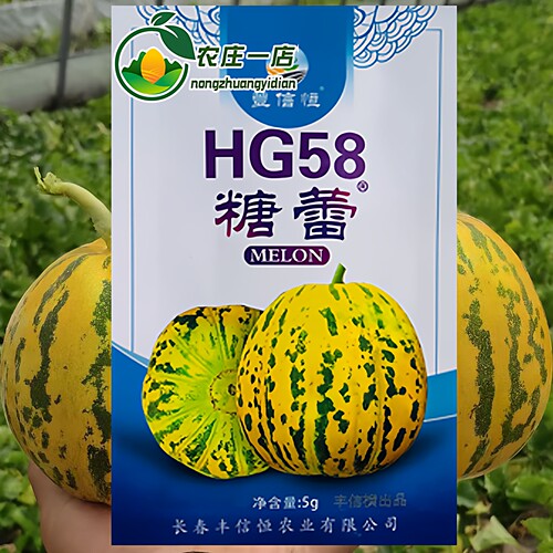 花皮绿肉干瓤薄皮八里香甜瓜种籽
